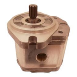 HYDRAULIC GEAR PUMP SNP2 6 S SC06.F SNP2NN/6,0LN06SAP1F4  111.20.881.00